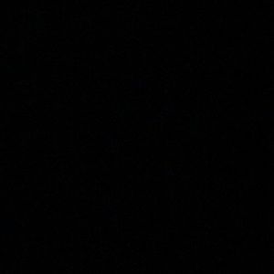 Meet your Posher, Shane